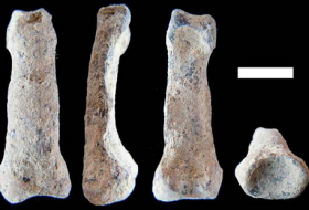 World`s Oldest Humanlike Hand Bone Sheds Light on Evolution